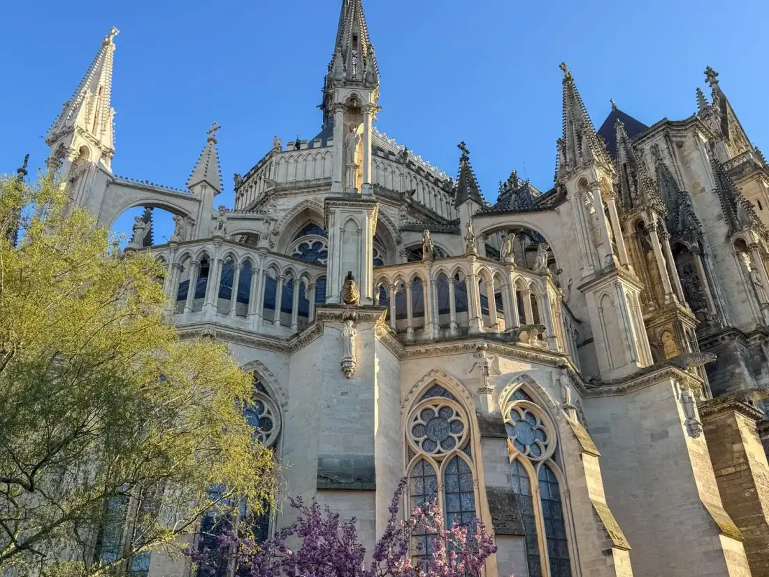 Reims city and Champagne vineyards